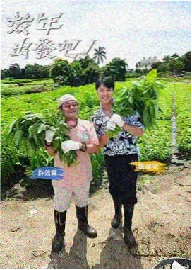 奔跑吧 第十二季 综艺在线观看